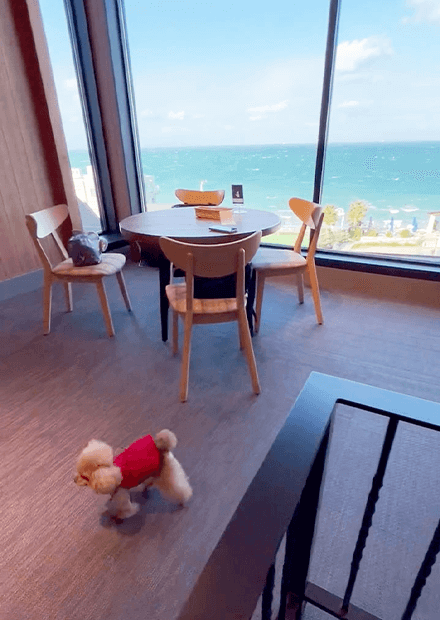 幸せガーデン(淡路市)